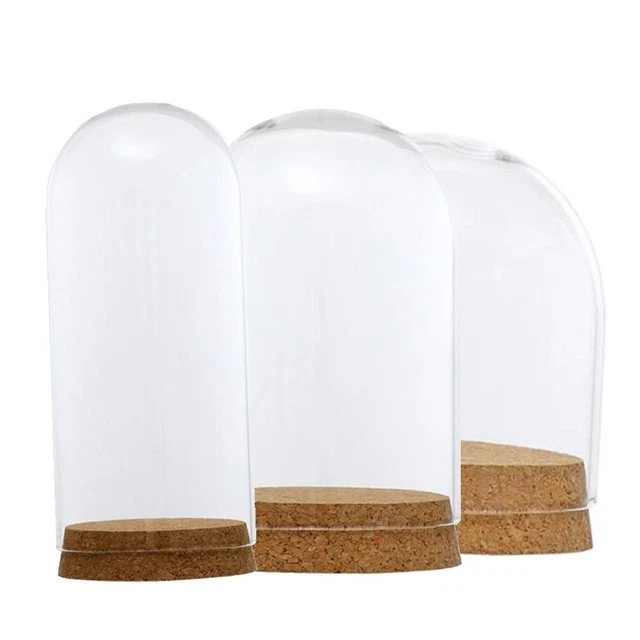 Base en Bois Verre Cloche Dôme Housse Affichage Centerpiece Décoration de Table