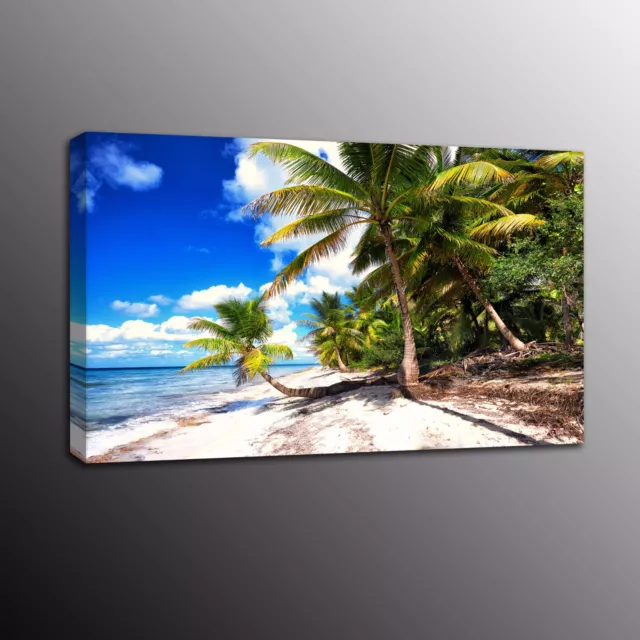 Coconut HD Canvas Print Painting Picture Wall Art Palm Tree Blue Sky Home Decor