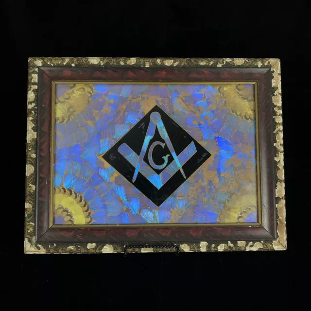 1920s Art Deco Brazilian Butterfly Wing Art Frame Mason Masonic Symbol