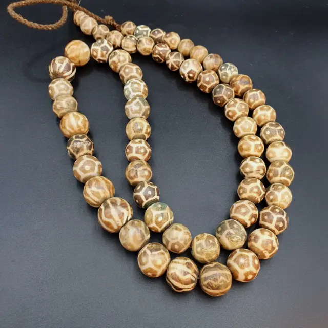 South Asian Burmese Old Pumtek petrified Wood Beads Late 61 beads 13-18mm Big
