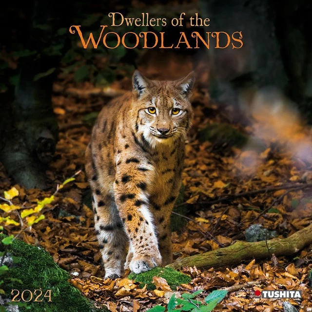 WOODLANDS/BEWOHNER DES WALDES 2024 Kalender 2024 Kalender Wonderful