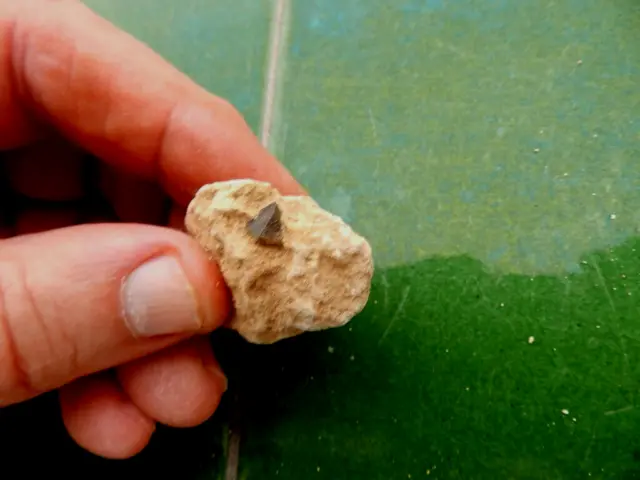 Minerales " Fabuloso Cristal Qzo Morion En Matriz Archidona(Malaga)- 11D22 "