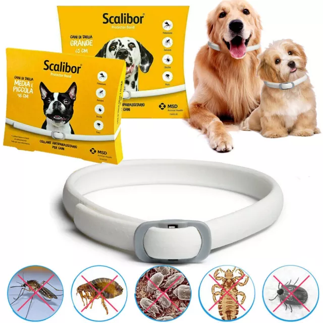 Collier anti-insectes-puces et tiques protection 8 mois pour animal de compagnie