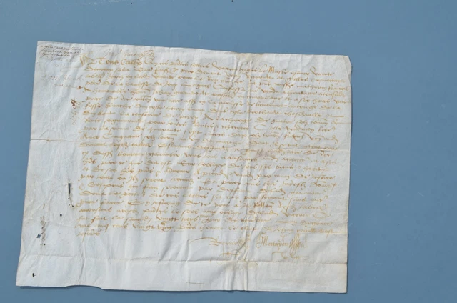 Document Ancien – Parchemin Original De 1538 – Maine-et-Loire – Acte Notarié DUTERTRE, BLANDINEAU, PINELLE, DeLAUNAY