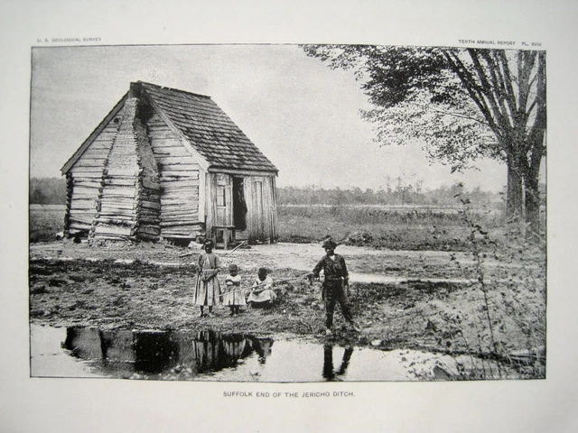 Nathaniel Shaler Fresh-Water Morasses USA Virginia N.Carolina GEOLOGIE 1889