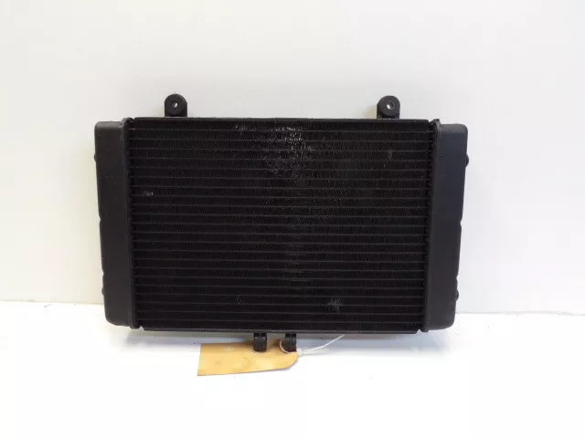 Honda CB 1000 F 1993-1996 Kuhler (Radiator ) 201516073