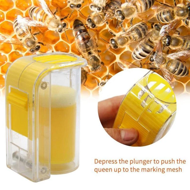 Garden Bee Queen Marker Bottle Mark Cage Beekeeping with Tools Catcher Plun X9E6