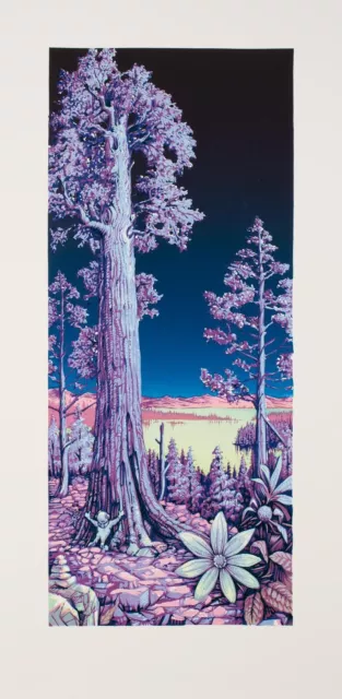 AJ Masthay "Sequoia" Moonlight LE Poster Signed Linocut Print Dead Welker Spusta