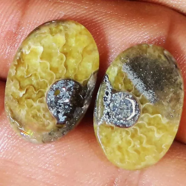 (13X19X03 MM SIZE) 21.20 Cts NATURAL AMMONITE FOSSIL PAIR OVAL CABOCHON GEMSTONE 2