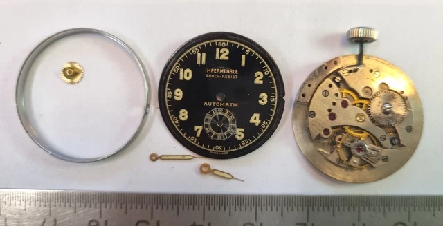 Timex Bracelet de Rechange T2P222 Originals Classic- Original 20mm Universel