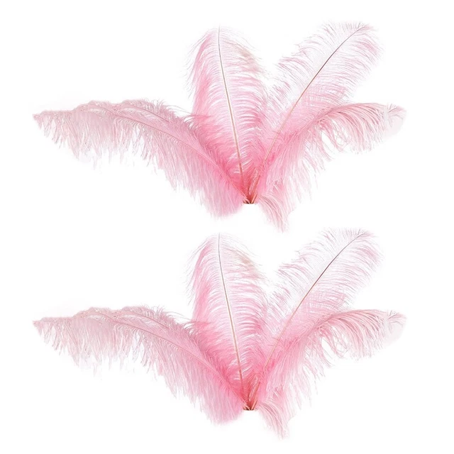20 Pcs Natural Ostrich Feathers Wedding Party Decoration Pink 20-25cm R3W6
