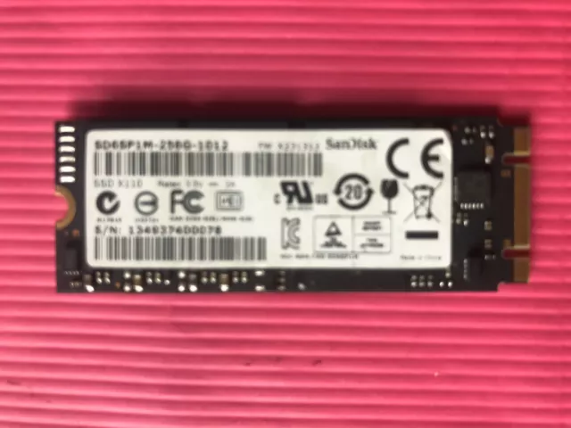 Sandisk 256GB SSD X110 2260 SD6SP1M-256G-1012 SATA