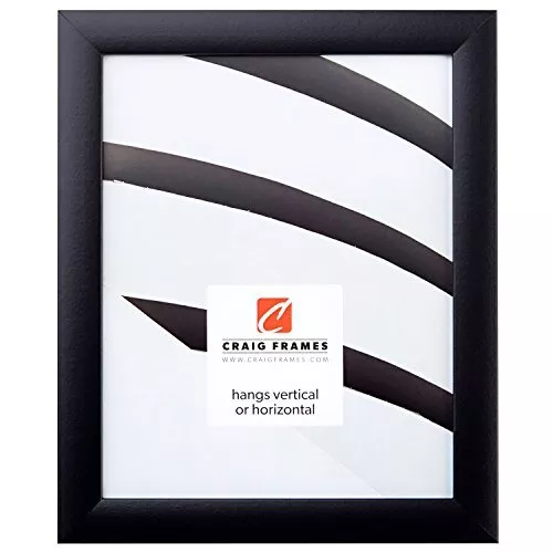 Craig Frames Contemporary Picture Frame, 11 x 17 Inch, Black