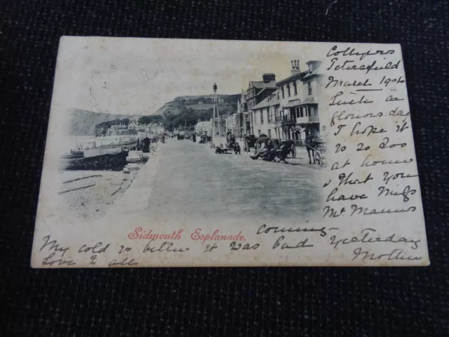 Sidmouth Esplanade Postcard - 87087