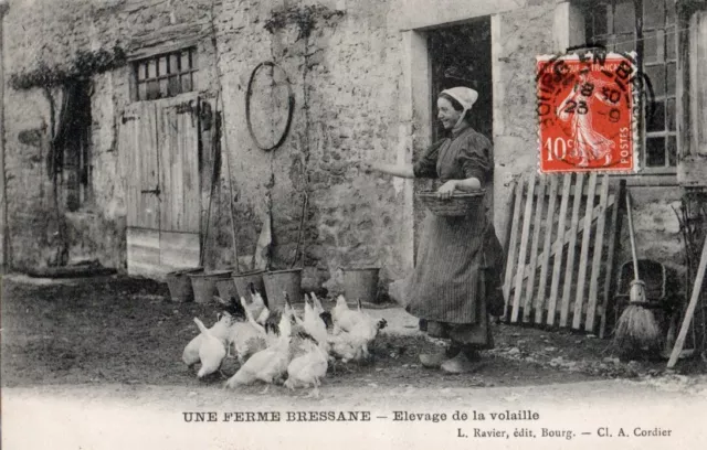 01 Cpa Animee 1909 Une Ferme Bressane Elevage De La Volaille