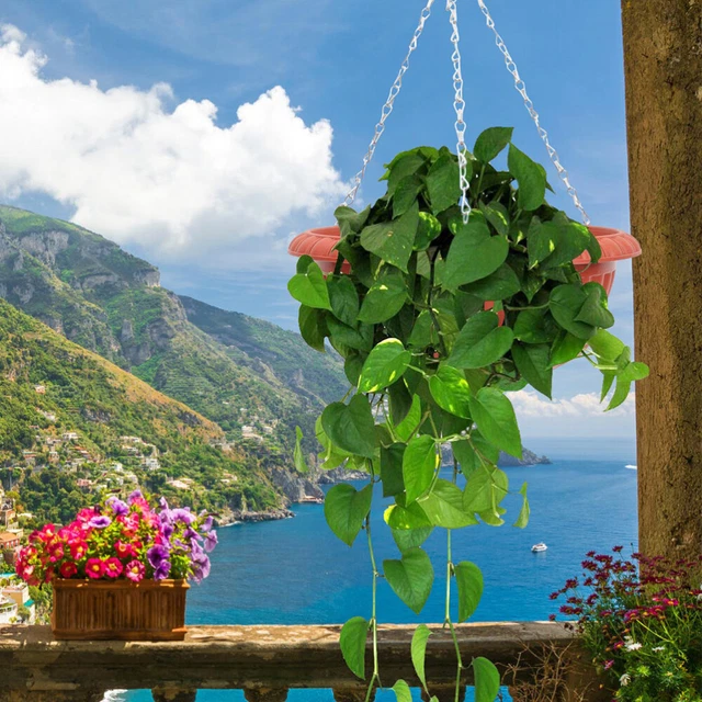 4 Vasi Da Fiori Da Appendere Colorati Per Ringhiera: Esplodi Di Colore Sul Tuo Balcone!