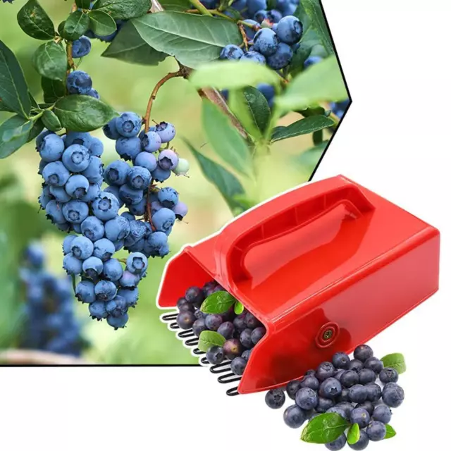 1/2XBerry Picker w/ Comb Blueberry Rake Scoop for Fruits Harvestin,
