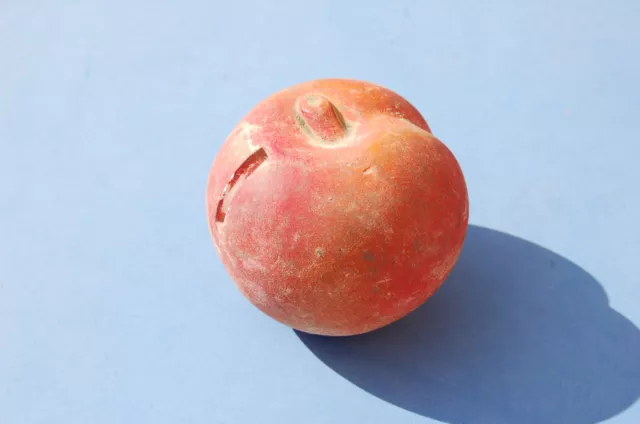 RARE Tirelire Ancienne en forme de Pomme en platre