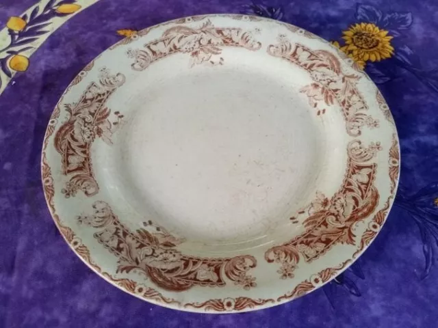 Assiette Plate ancienne Faience Creil et Montereau Labrador Service Ceylan