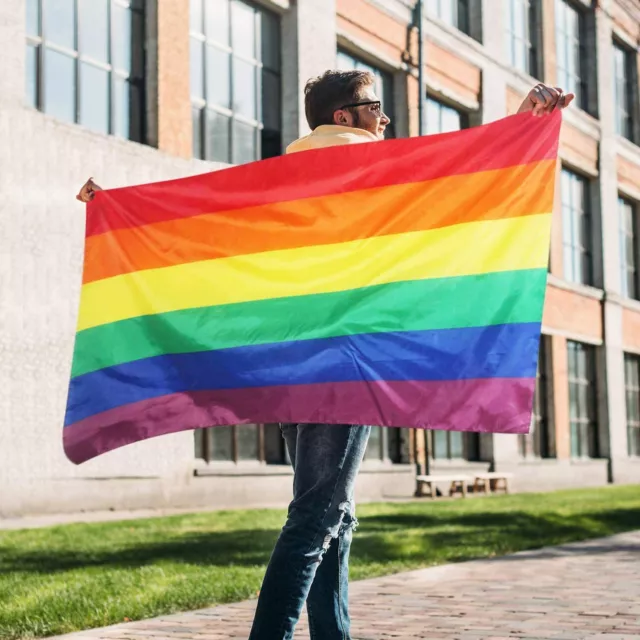 TRIXES Rainbow Flag Gay Pride NEW LGBTQIA2s+ Love Wins Festival Street Party