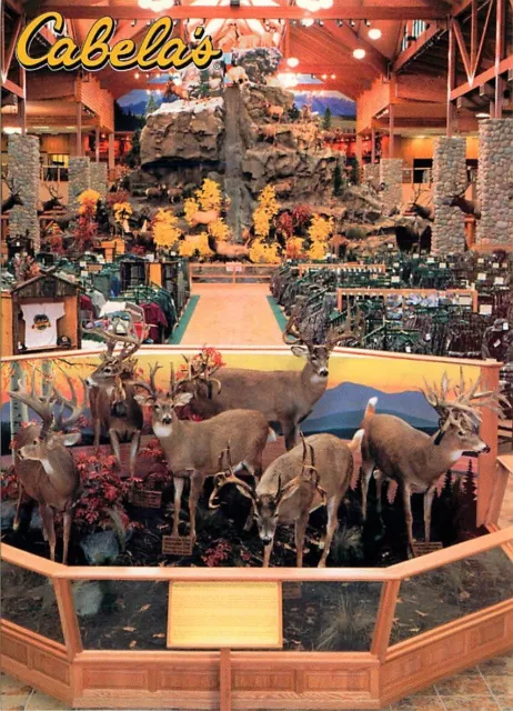 Postcard Cabela's Outdoor Store, Dundee, Michigan - Whitetail Deer