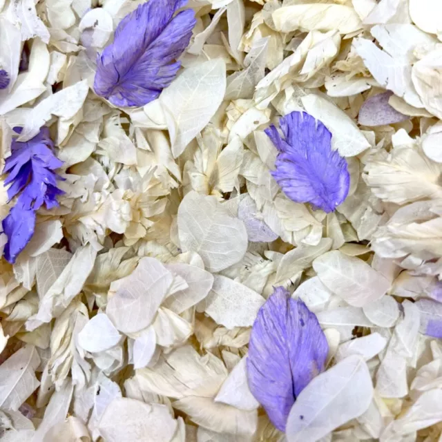 Ivory & Lilac Biodegradable Wedding Confetti | Purple Dried Petal Flowers 1Litre