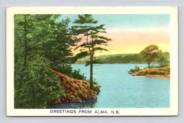 Alma New Brunswick Canada Greetings From Vintage Postcard