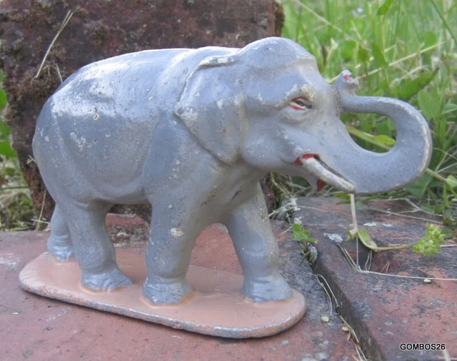 Le boa constricteur : tout ce que vous devez savoir sur ce serpent