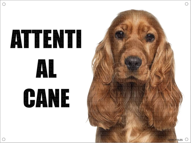 Cartello 'Attenti Al Cane' Per Bovaro Del Bernese - Targa In Metallo 15x20 Cm - Foto 5