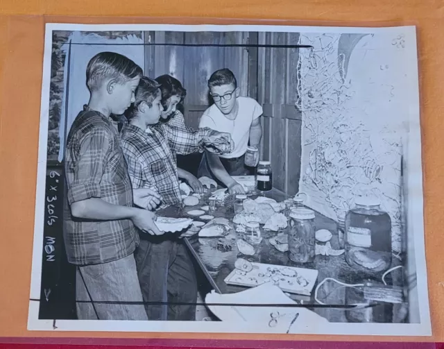 Vintage Ymca San Francisco Examiner Photo Original Fantastic Young Kids Adults