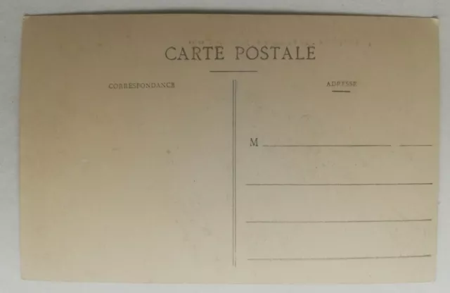 #977 Ancienne Carte Postale Poitiers La Passerelle du Jardin des Plantes 2