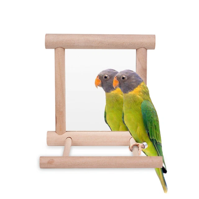 Vogelspielzeug Käfig Schaukel Kauen Holzspiegel für Papagei Sittich Conure 2