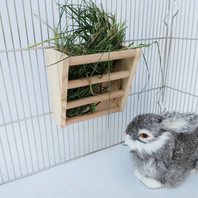 Heu Für Meerschweinchen Futterautomat Für Chinchillas Chinchilla Heu