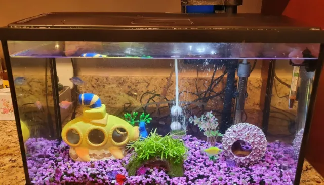 10 gal Fish Tank with 3 fishes, snails and accessories