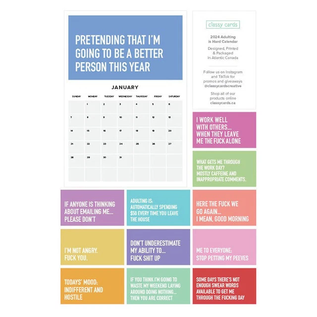 ADULTING IS HARD 2024 Calendar, The 2024 Calendar Not Easy for adults