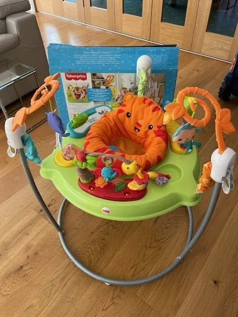 Fisher-Price Jumperoo Baby Bouncer and Activity Center