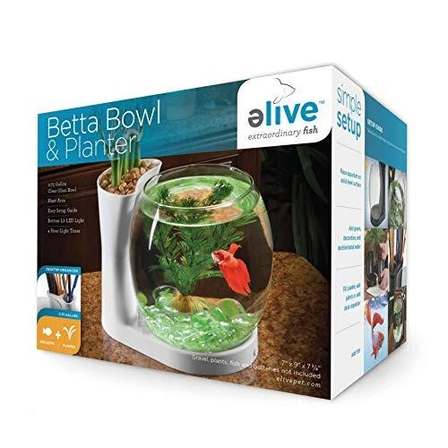 Betta Fish Bowl / Betta Fish Tank with Planter, Small 0.75 Gallon Aquarium, L...