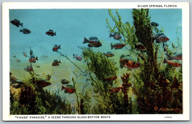 Vtg Silver Springs Florida FL Scene Glass Bottom Boat 1920s View Postcard