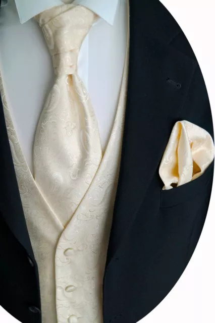 Wedding Waistcoat With Plastron, Handkerchief, Tie, Champagne, Model No. 23.2