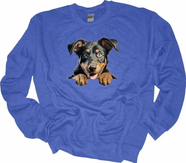 Peeking Beauceron Dog Sweatshirt Dog Lover Shirt