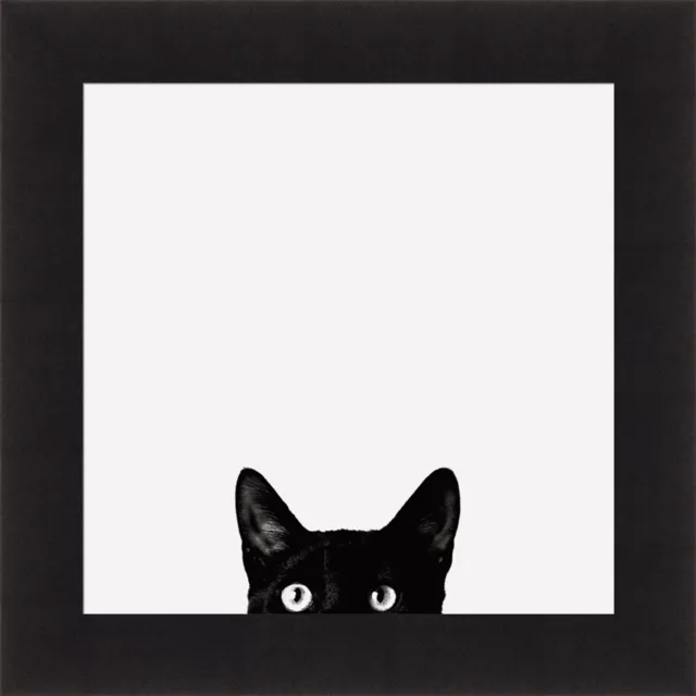 CURIOSITY by Jon Bertelli 19x19 Black & White Photo Peeking Cat FRAMED WALL ART