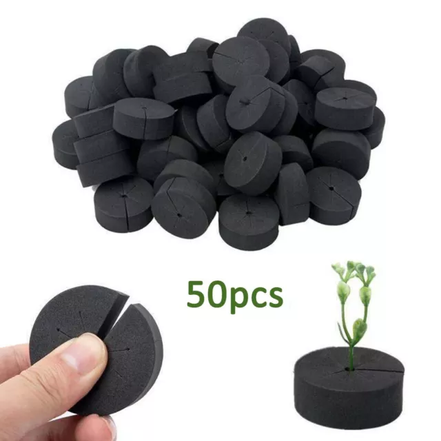 50 pièces colliers clones premium pour inserts en mousse de clonage de jardin p