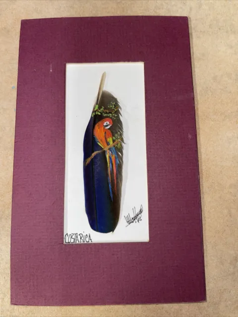 Lovely Framed Hand Painted Feather with Colorful Parrot Costa Rica Signed