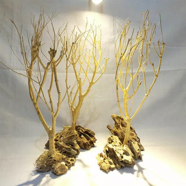 20-30cm Aquarium Deko Fische WURZEL BAUM Garnelen Dekoration Terrarium.. .