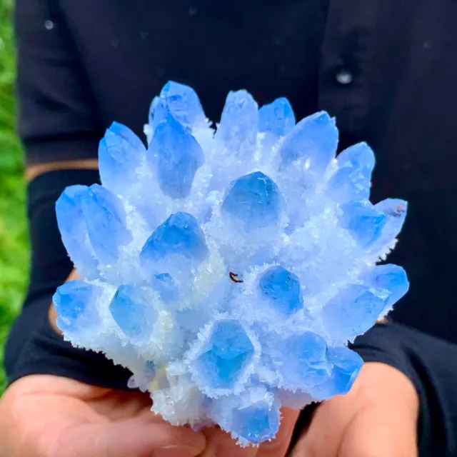 333G New Find sky blue Phantom Quartz Crystal Cluster Mineral Specimen Healing