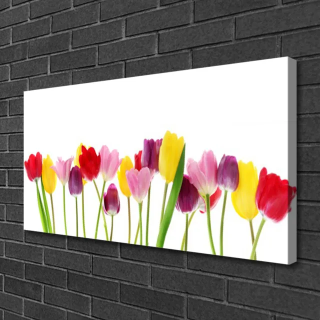 Tulup Cuadro sobre lienzo Foto lona Pared 100x50 Tulipanes Floral