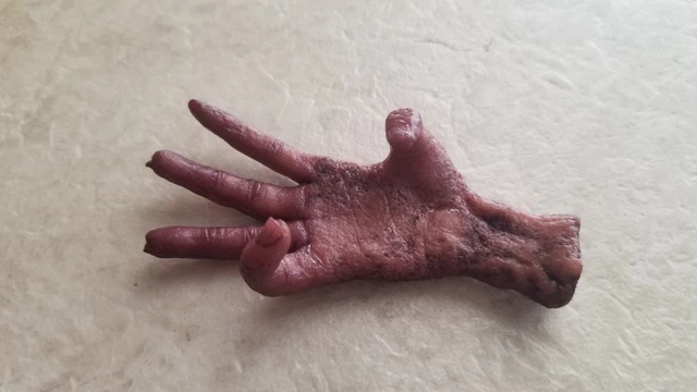 “Cursed” Monkey's Paw / Monkey Hand Prop Replica Hand-Made novelty 3 Wishes Claw