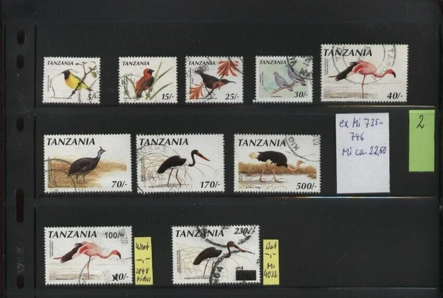 Faszination Afrika Vögel schöne Auswahl aus Tansania,  Lot 2,  10 Stück,  Top