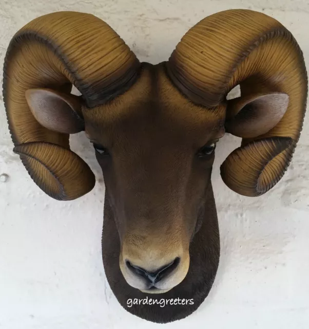 Ram Head Wall Mount Bighorn