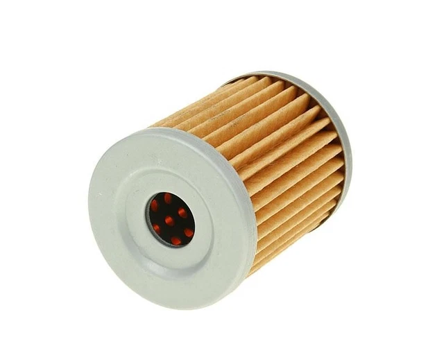 Filtre à huile - 2x4 / 4x4 250 (99-05)